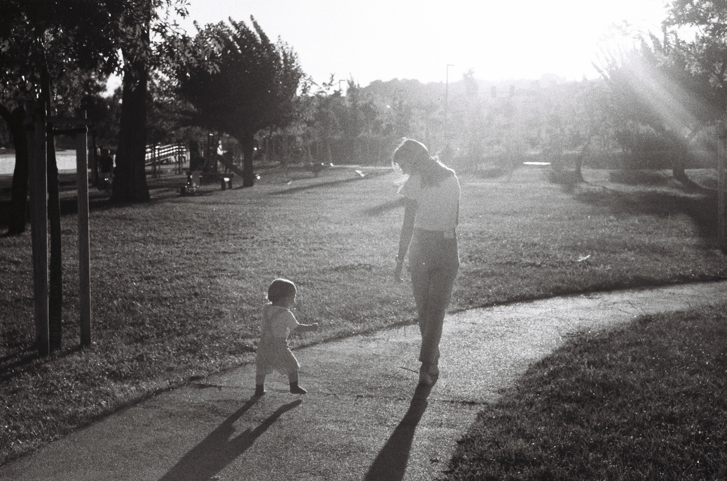 The Analog Photo Book