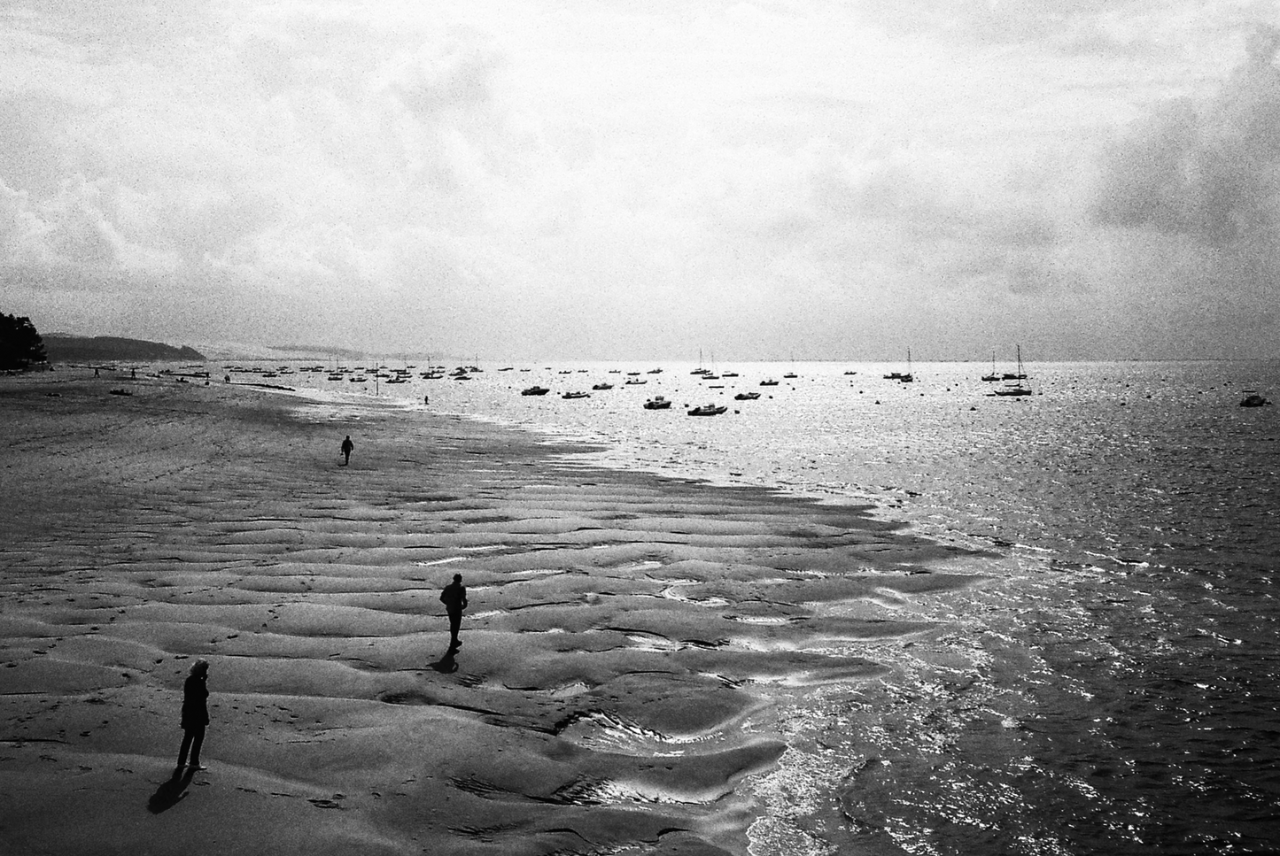The Analog Photo Book
