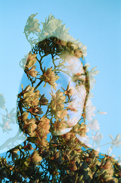 The Analog Photo Book